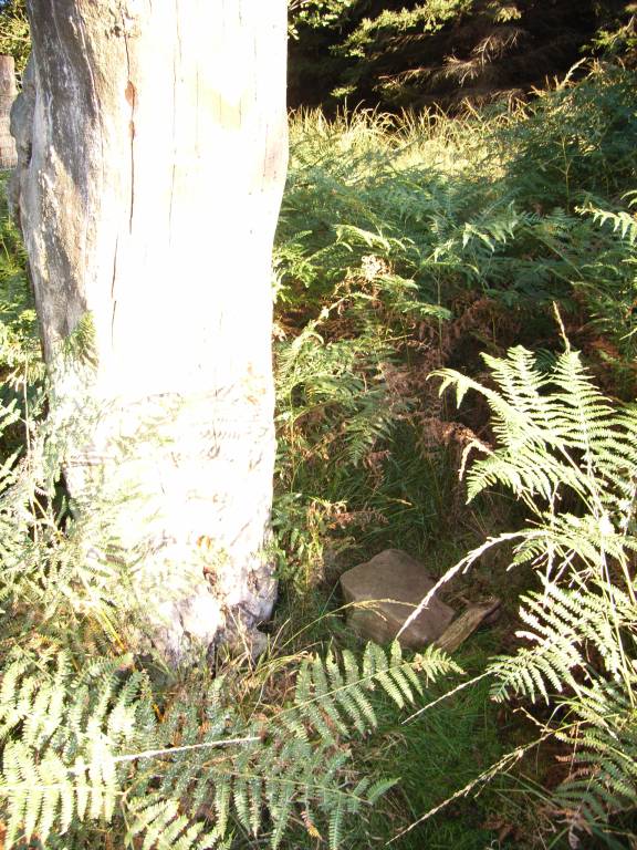 Versteck 1 Versteck 1